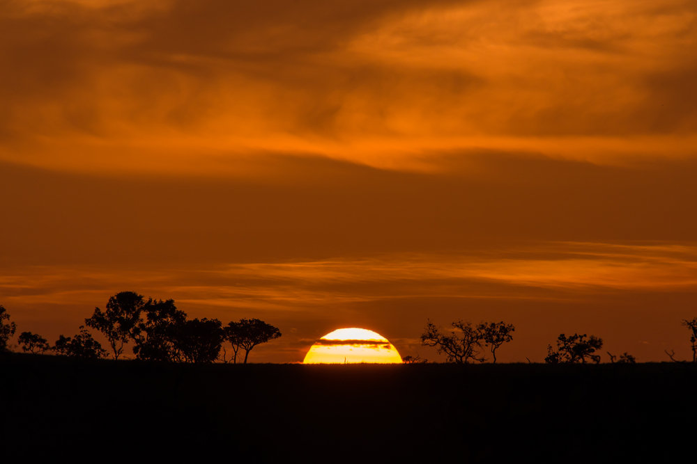 Aguaro-Guariquito National Park (Official GANP Park Page)