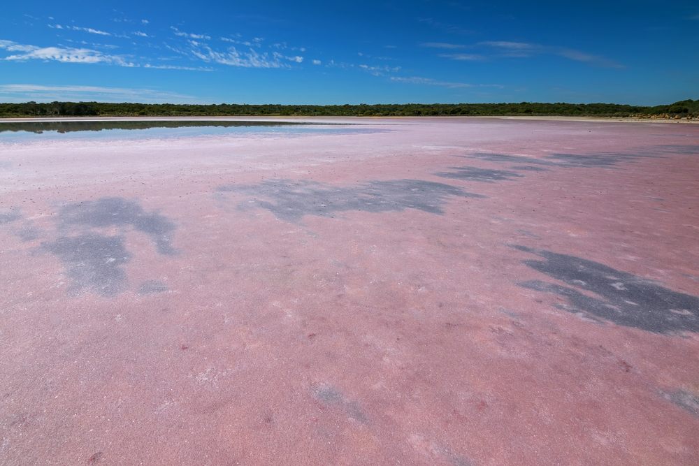 Coorong National Park (Official GANP Park Page)