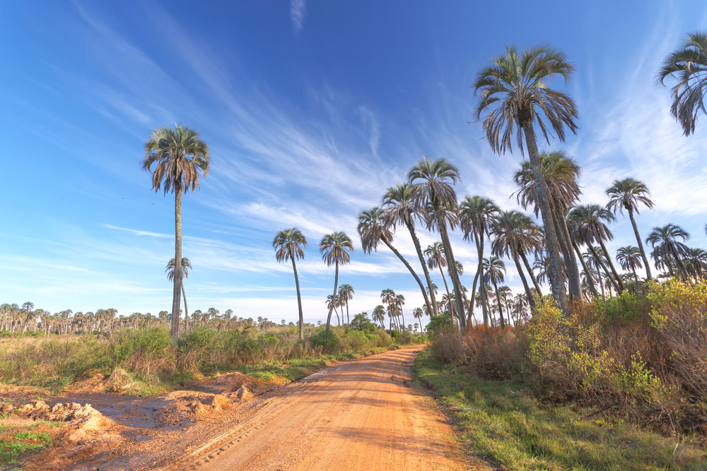 El Palmar National Park (Official GANP Park Page)