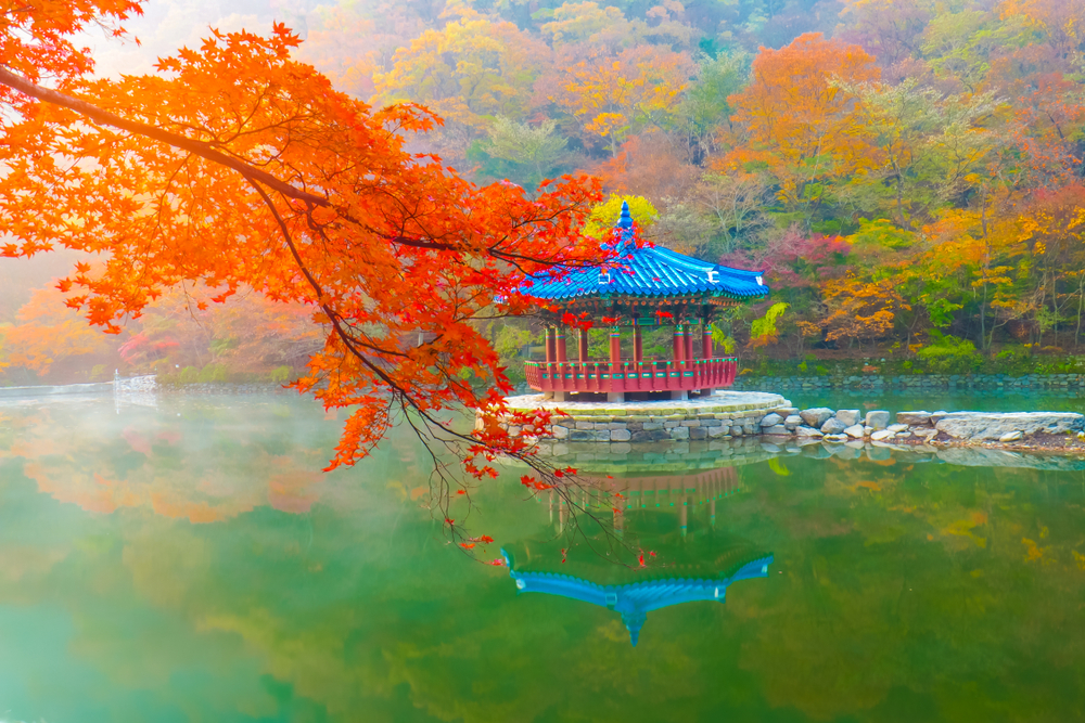 Naejangsan National Park (Official GANP Park Page)