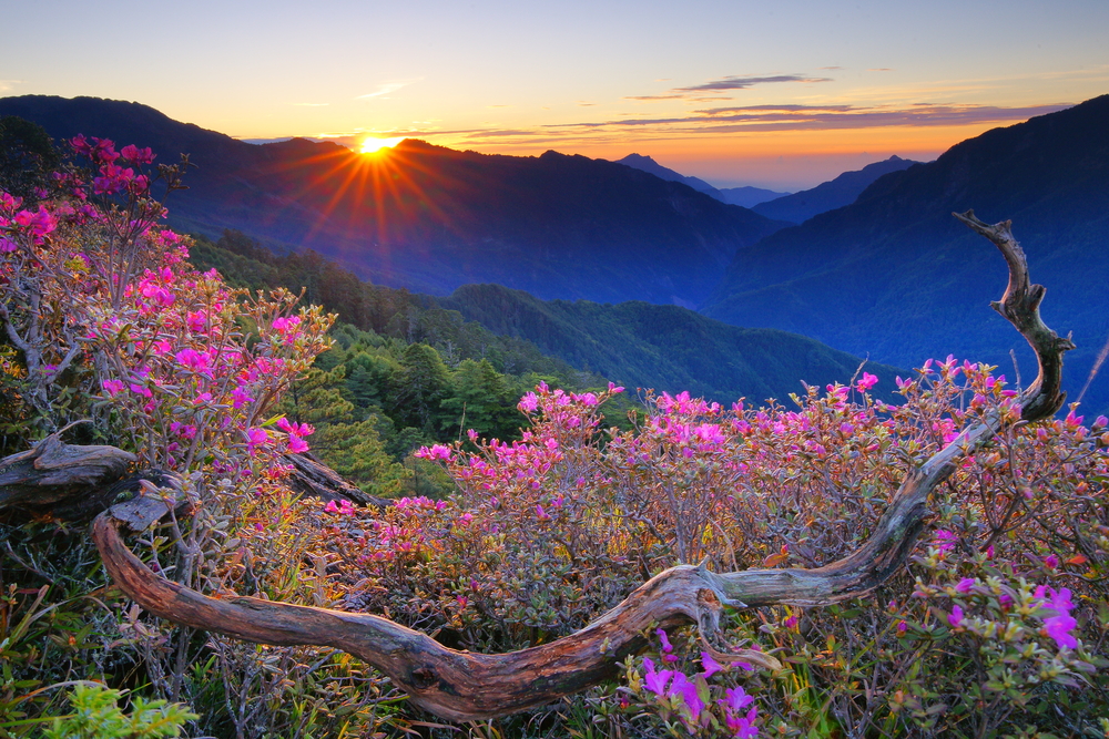 Taroko National Park (Official GANP Park Page)