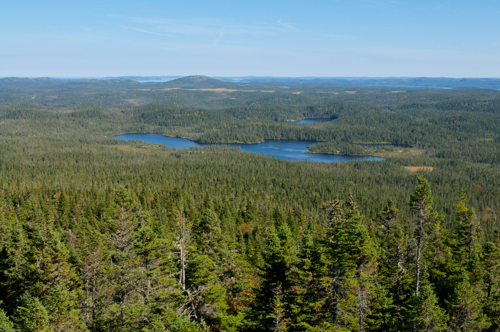 Terra Nova National Park (Official GANP Park Page)