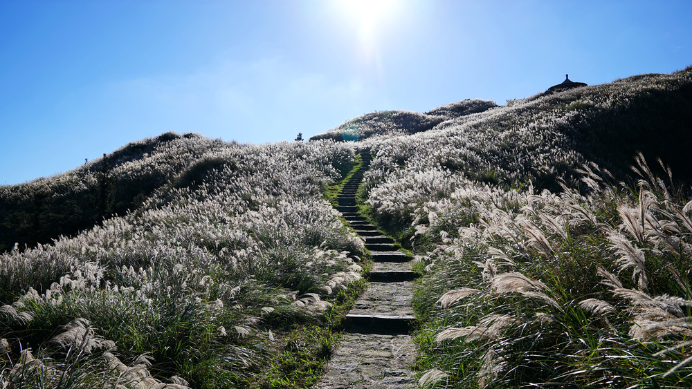 Yangmingshan National Park (Official GANP Park Page)