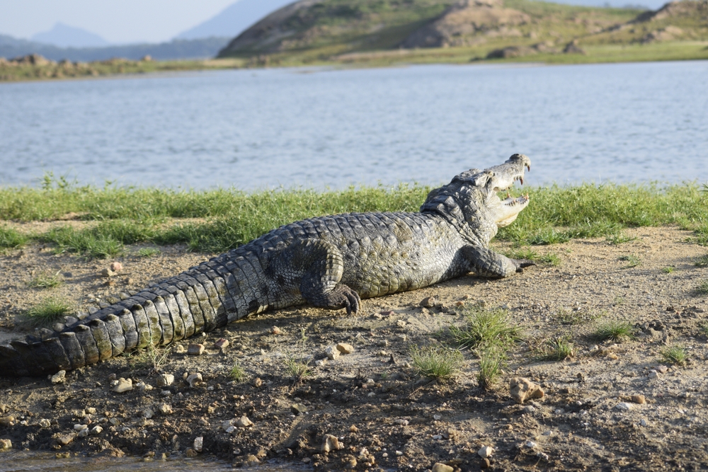 Gal Oya National Park
