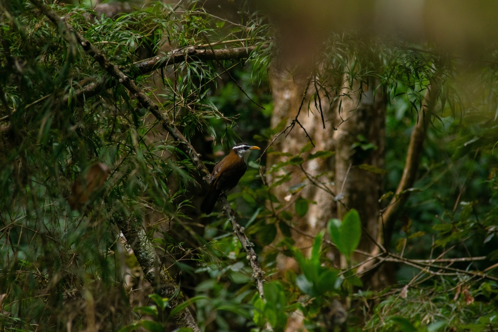 Galway’s Land National Park