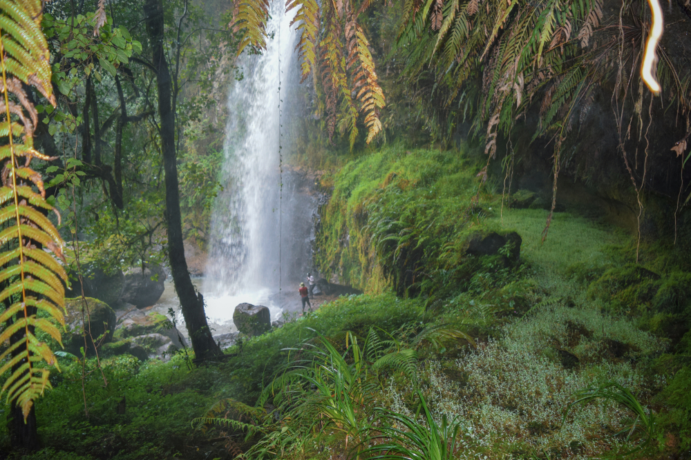 Sasamua Falls