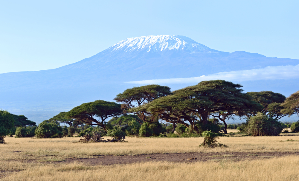 Rooftop of Africa