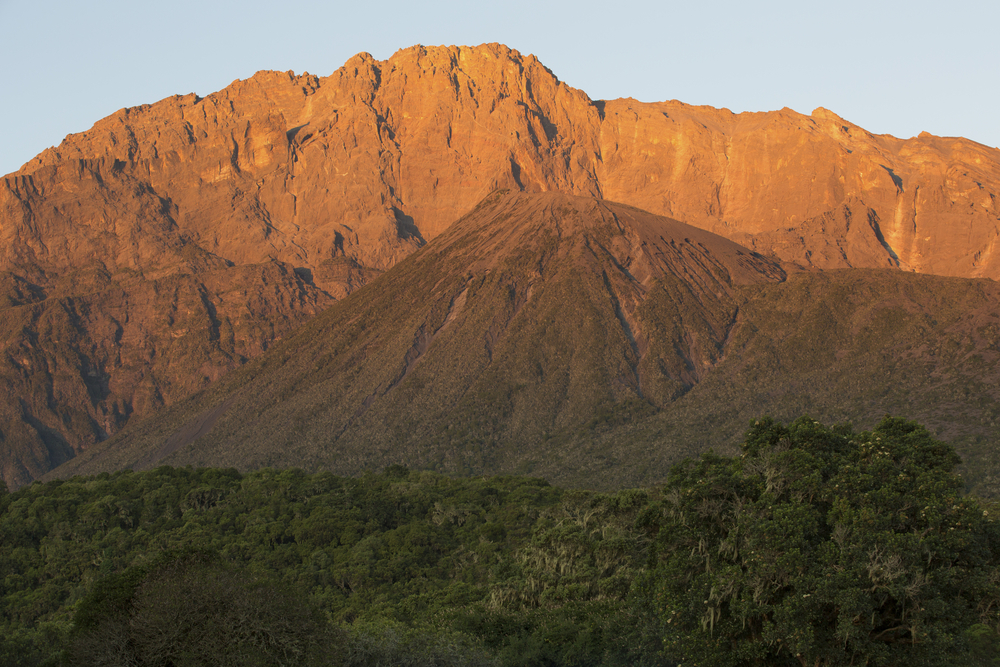 Tanzania's No. 2