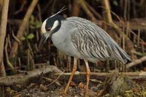 Biscayne National Park