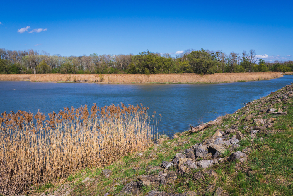 Donau-Auen National Park