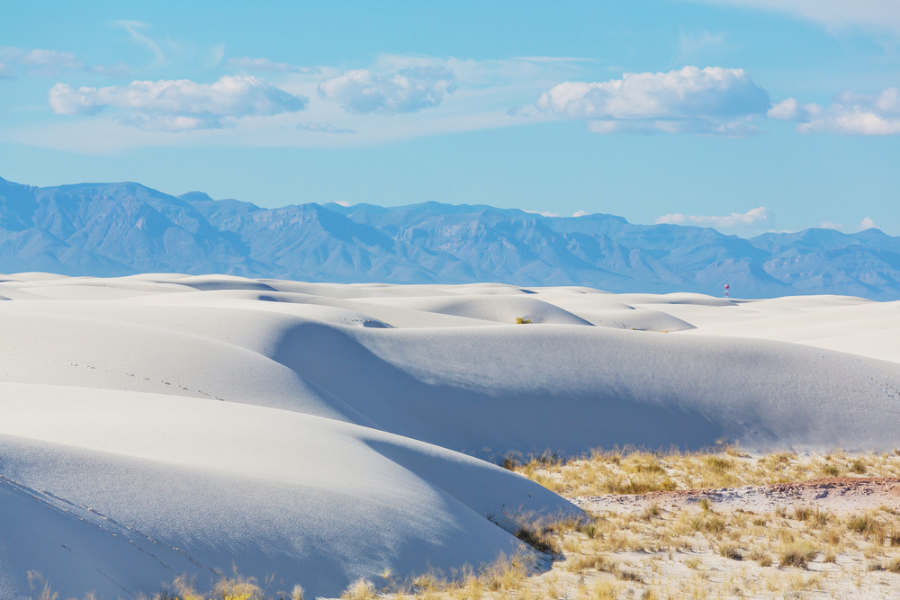 Cool Dunes of White Sands