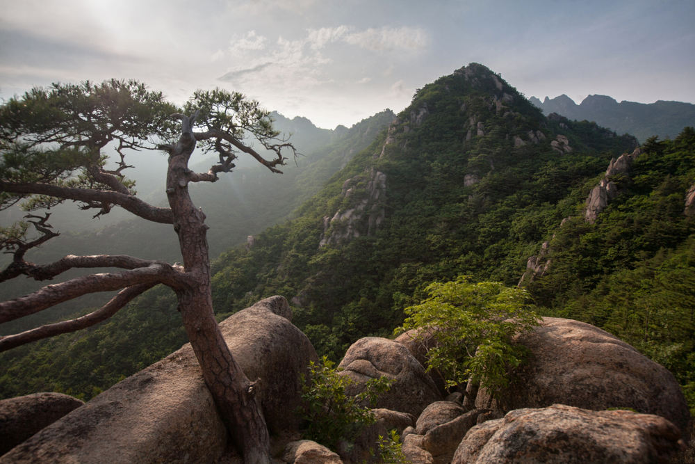 Gayasan National Park