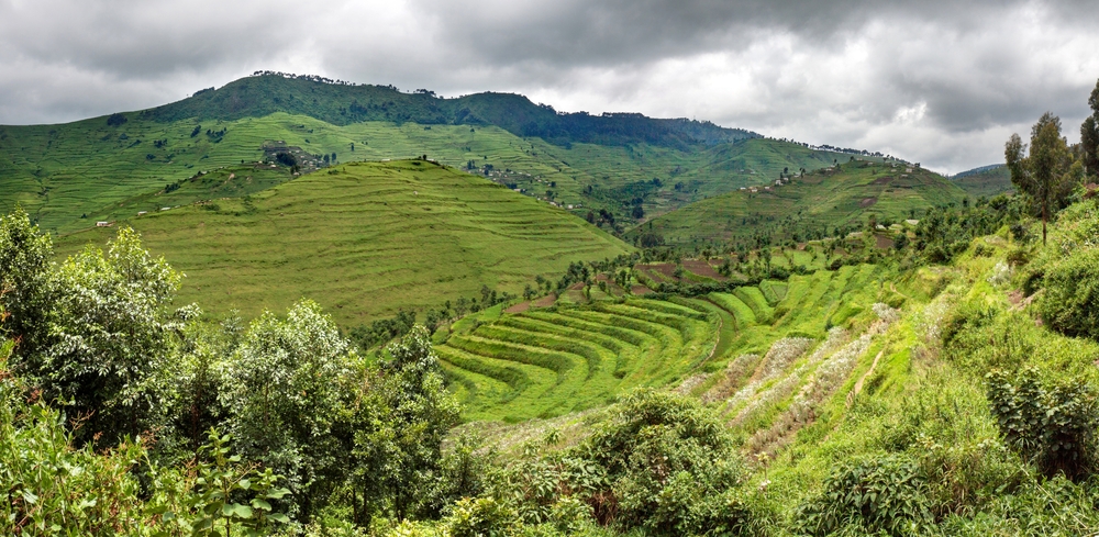 Gishwati-Mukura National Park