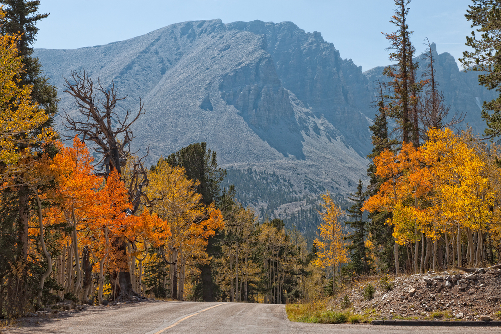 Majestic Mountain