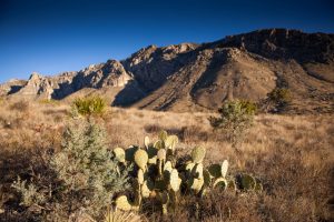 Guadalupe Mountains National Park