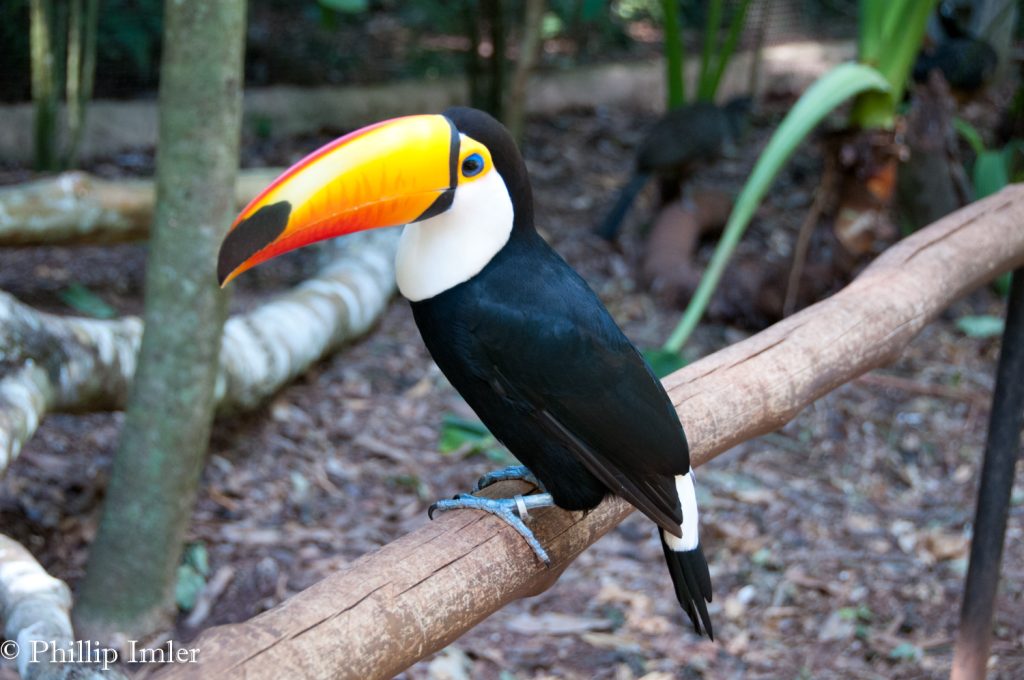 Iguazu National Park