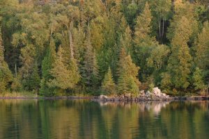 Isle Royale National Park