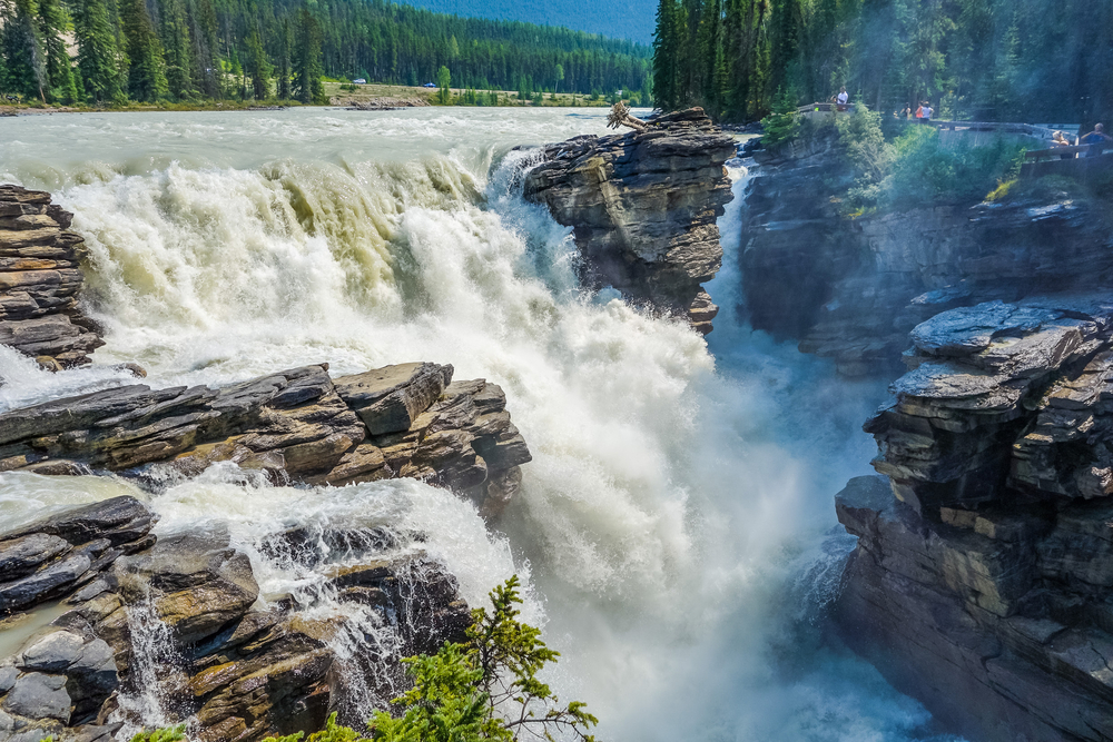 Athabasca Falls