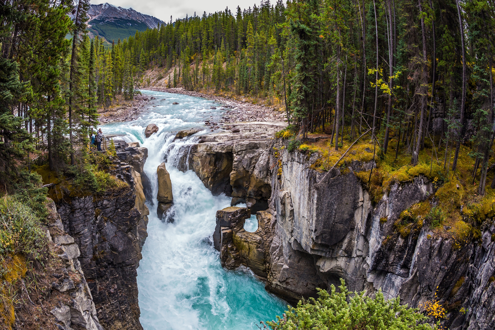 Sunwapta Falls