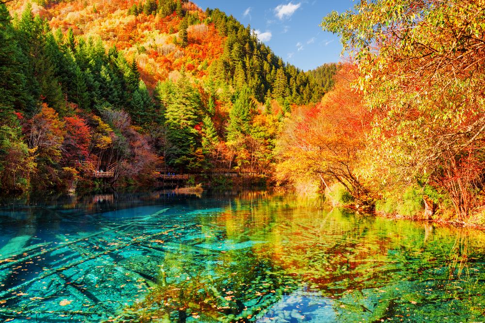 Five Flower Lake