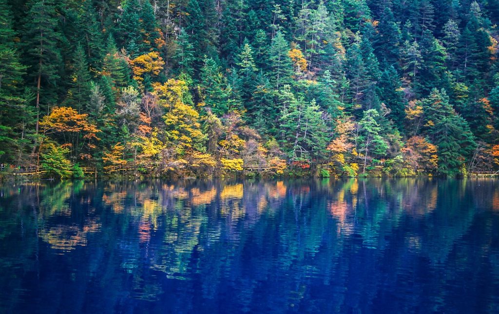 Long Lake