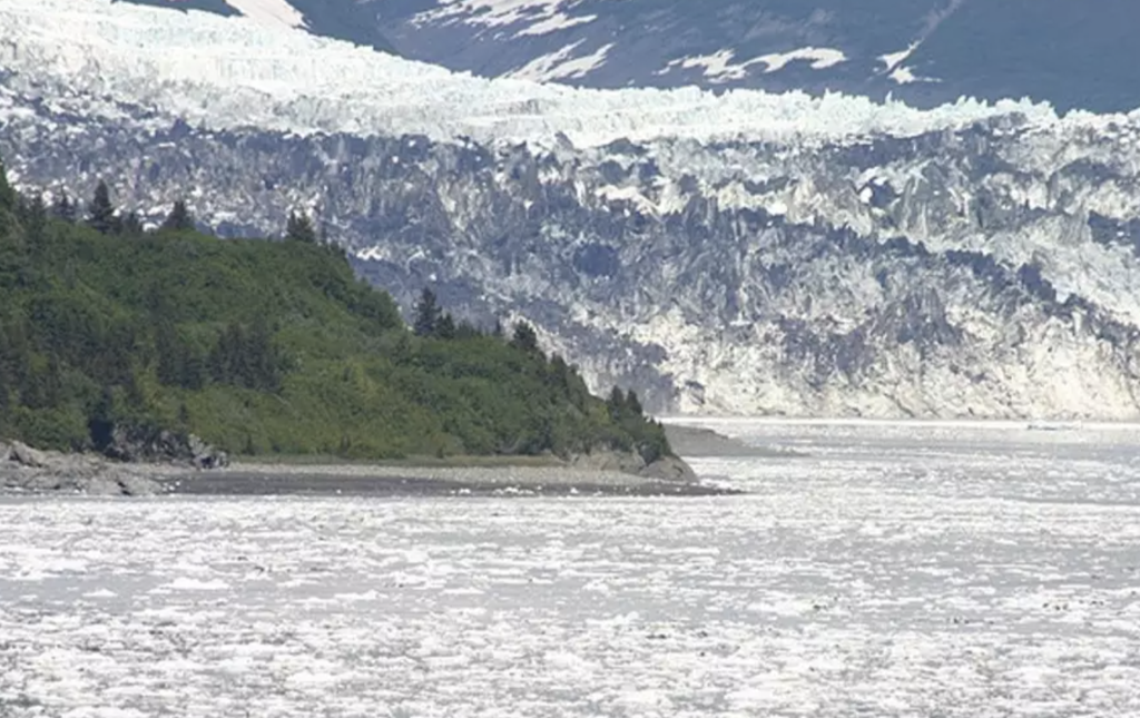 Malaspina Glacier