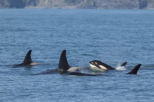 Kenai Fjords National Park