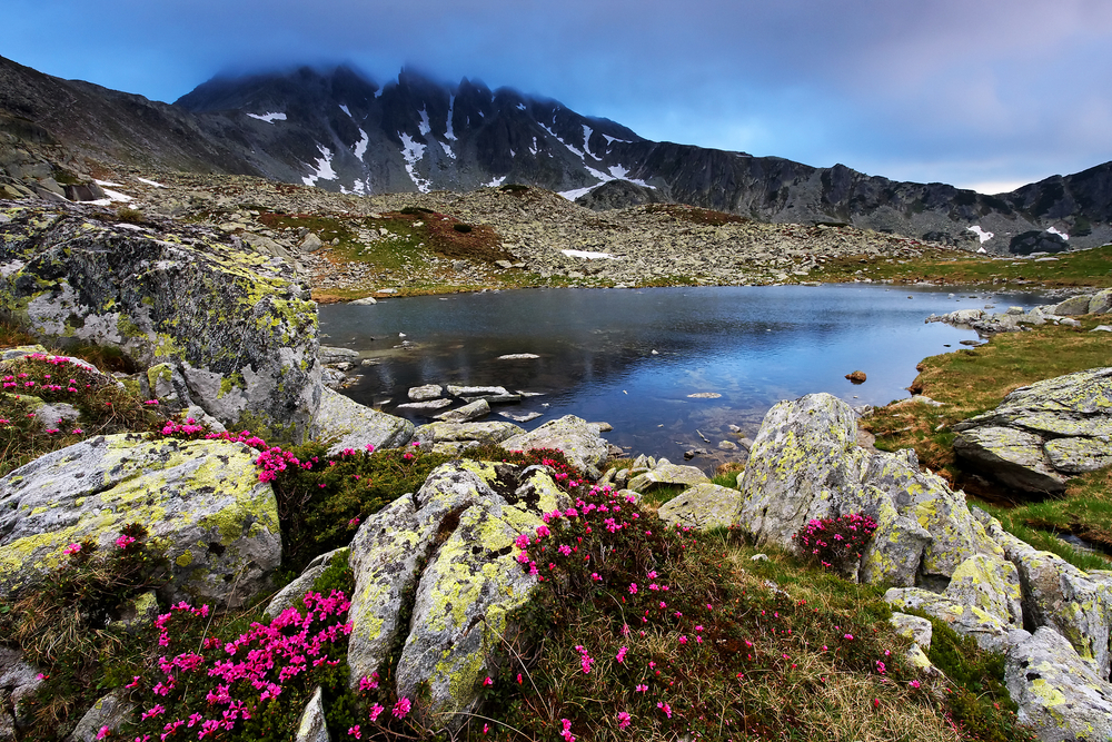 Retezat National Park