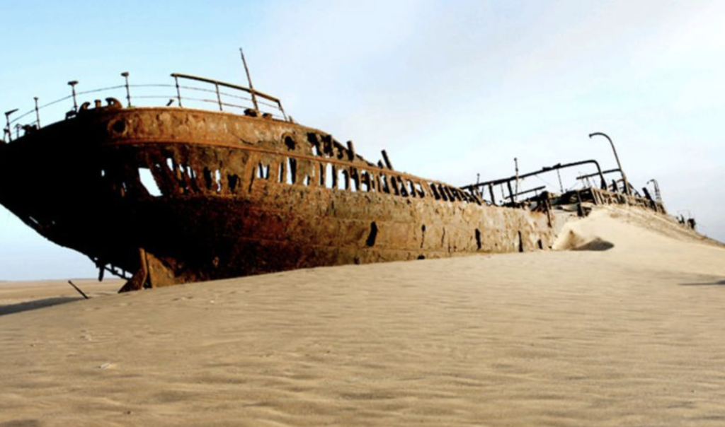 Ship Skeletons Abound