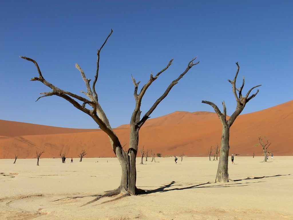 Sossusvlei