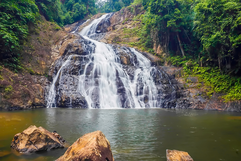 Endau Rompin National Park