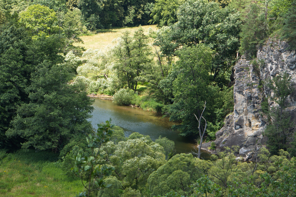 Thayatal National Park