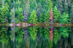 Voyageurs National Park