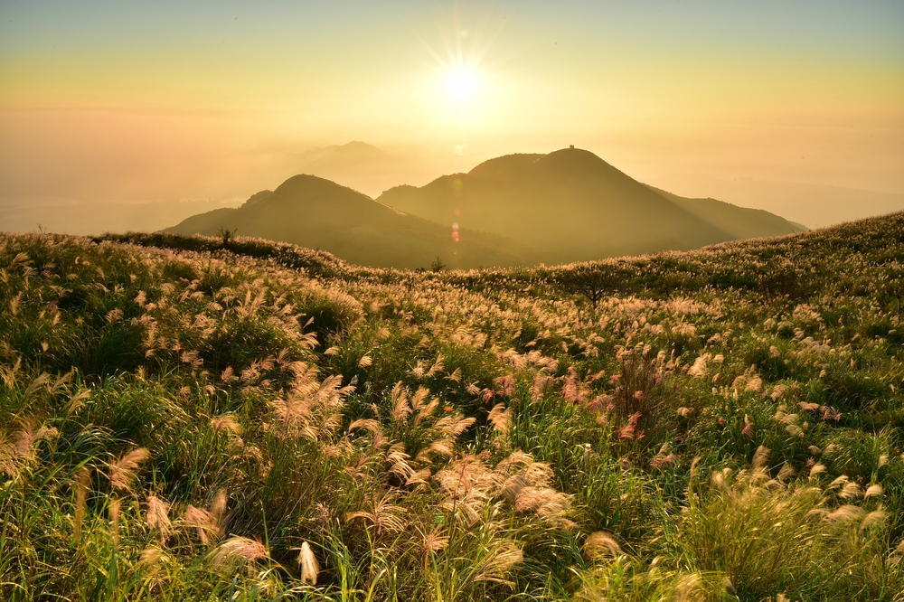 Yangmingshan National Park