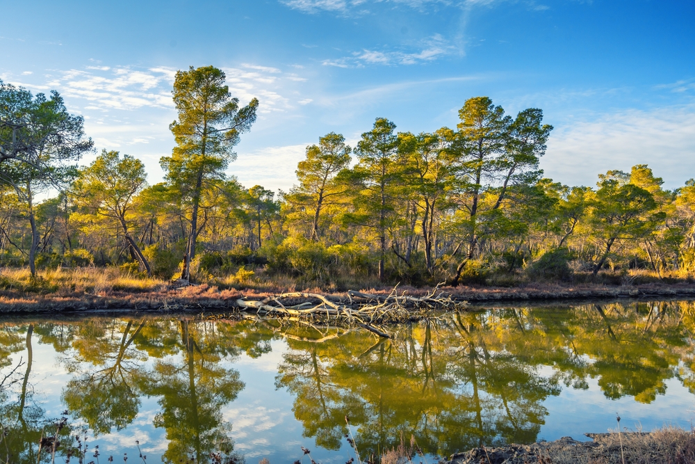 Divjakë-Karavasta National Park