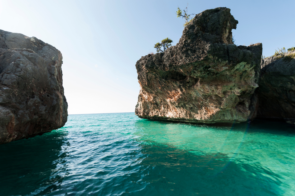 Boat Tours