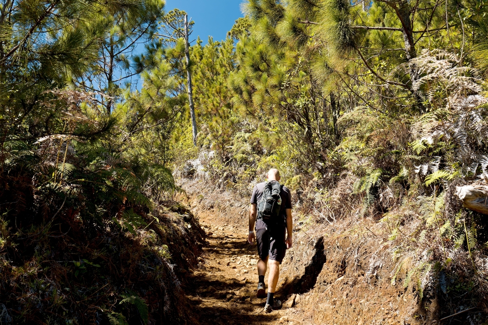Hiking