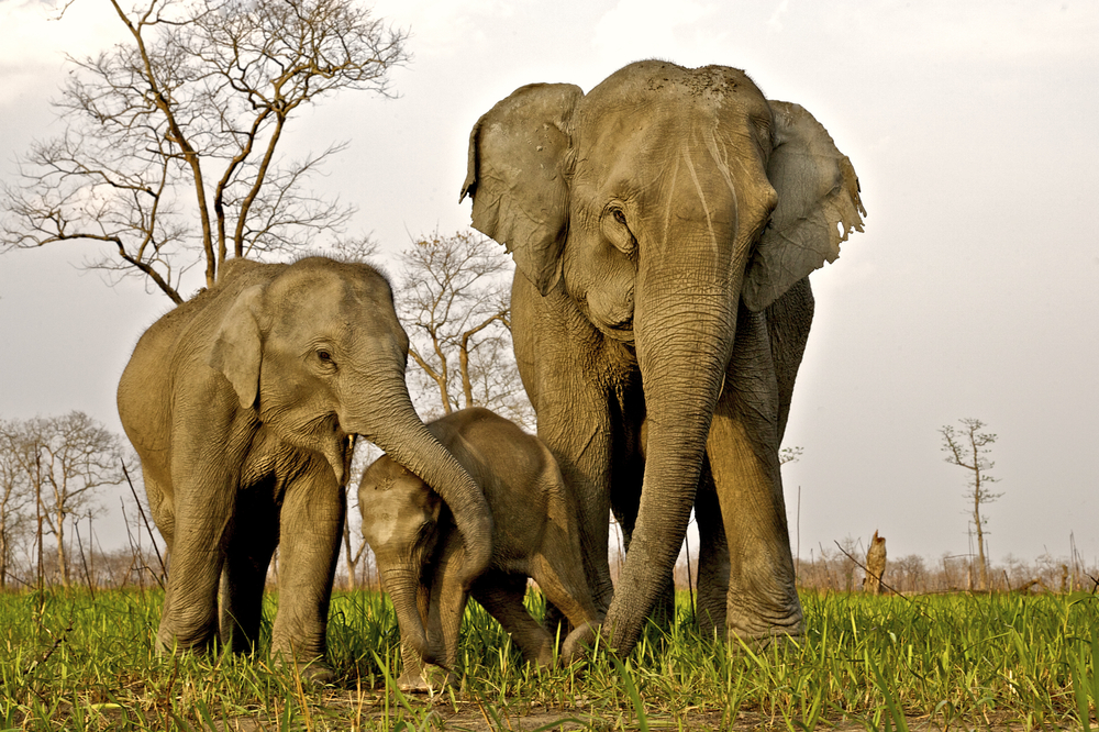 Marahoué National Park