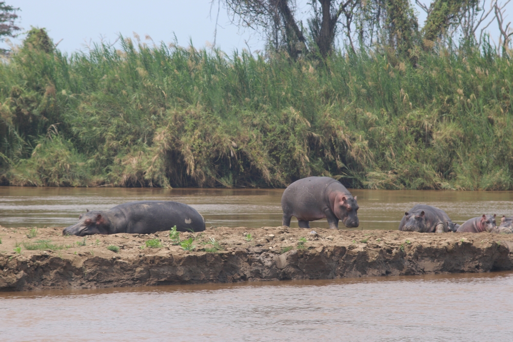 Rusizi National Park
