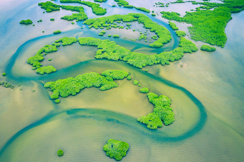 Saloum Delta National Park