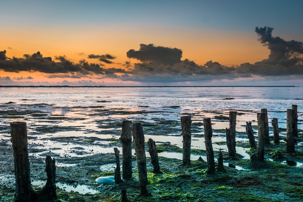 Wadden Sea National Park