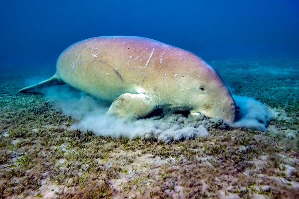 Baie de Baly National Park