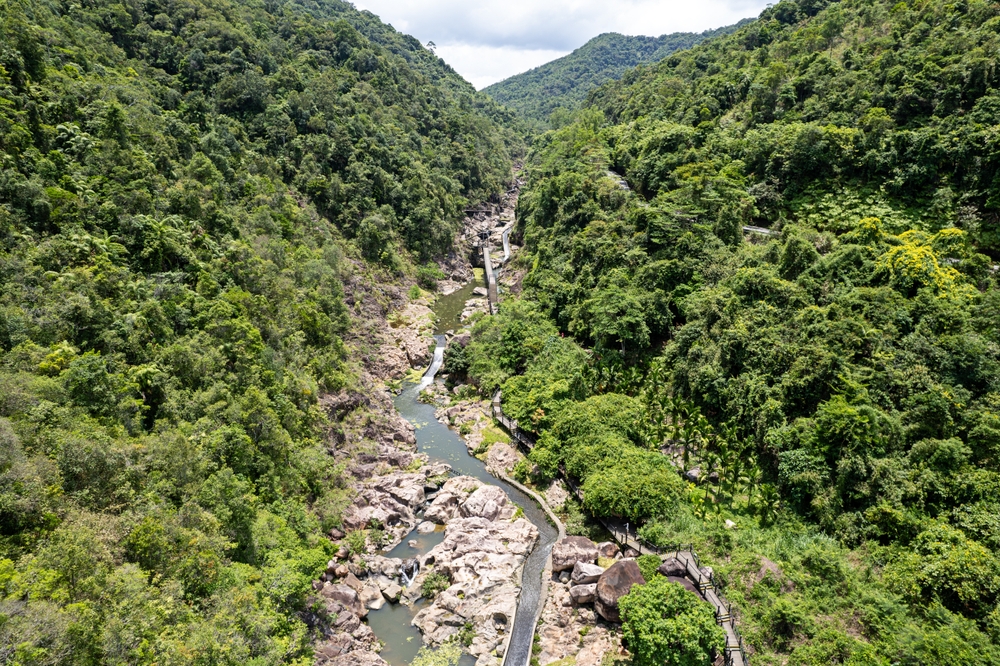 Hainan Tropical Rainforest National Park