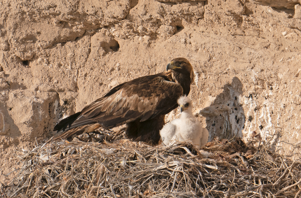 Haut Atlas Oriental National Park