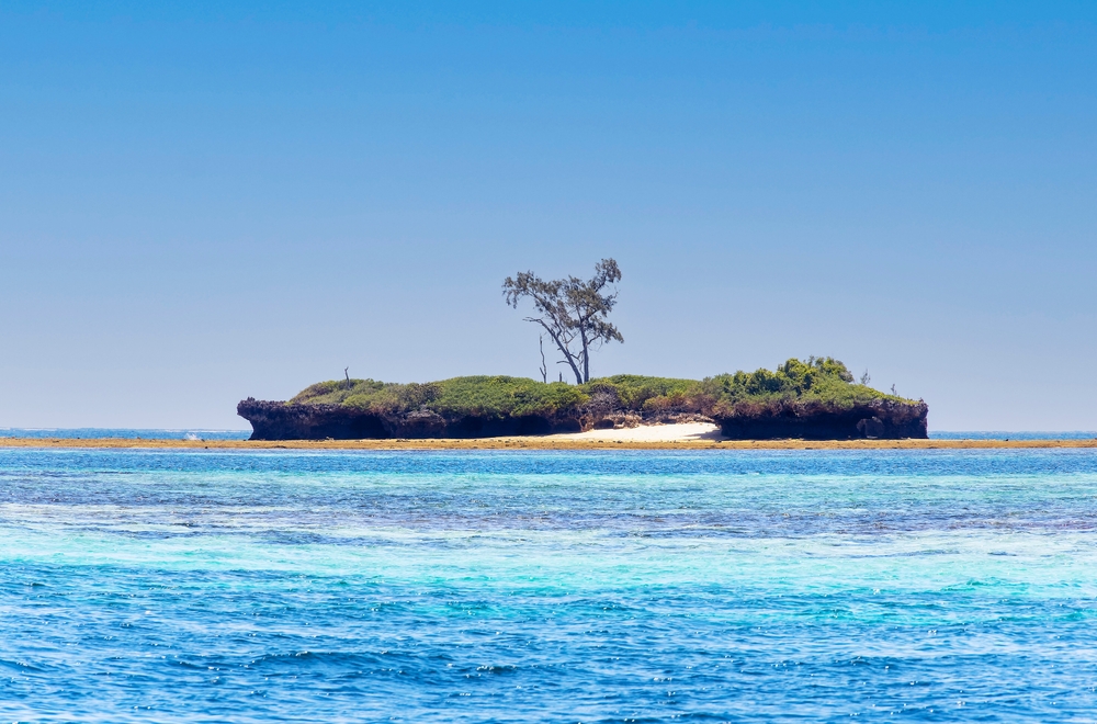 Kisite-Mpunguti Marine National Park