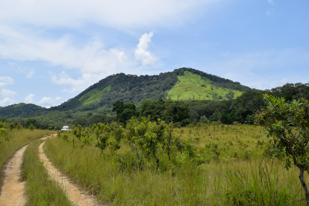 Lopé National Park