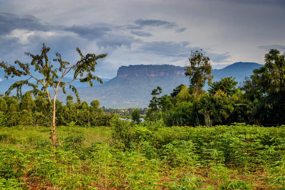 Mount Elgon National Park Uganda