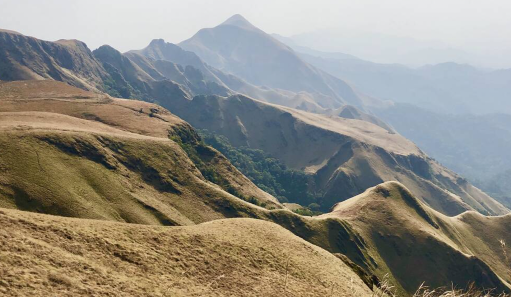 Mount Nimba National Park