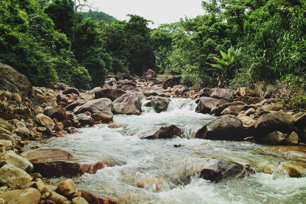 Preah Monivong Bokor National Park
