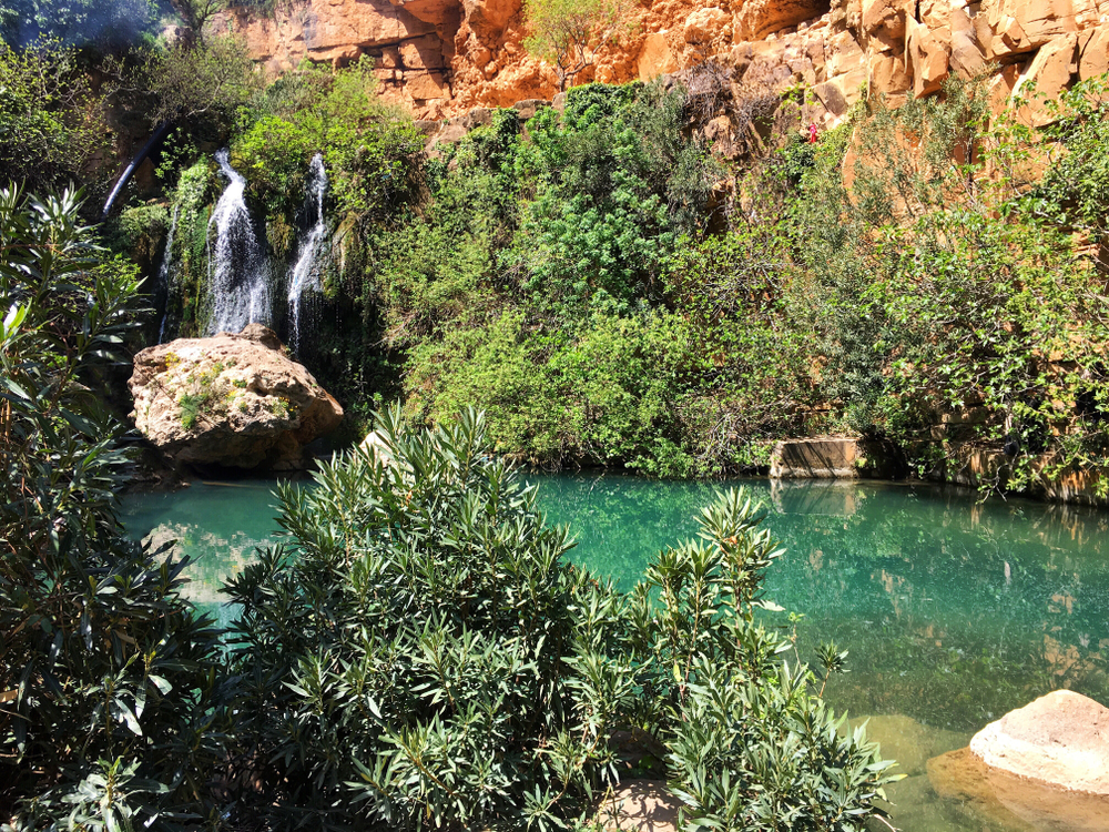 Tlemcen National Park